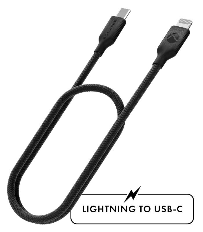 #select variant_Lightning to USB-C (Black)